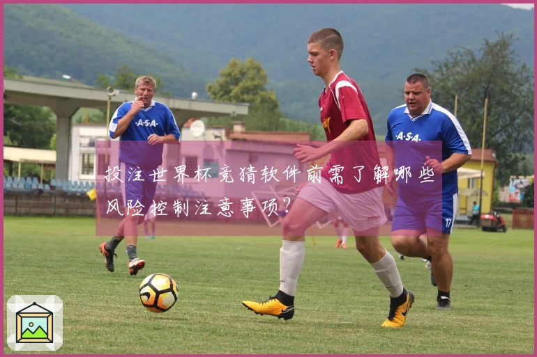 投注世界杯竞猜软件前需了解哪些风险控制注意事项？