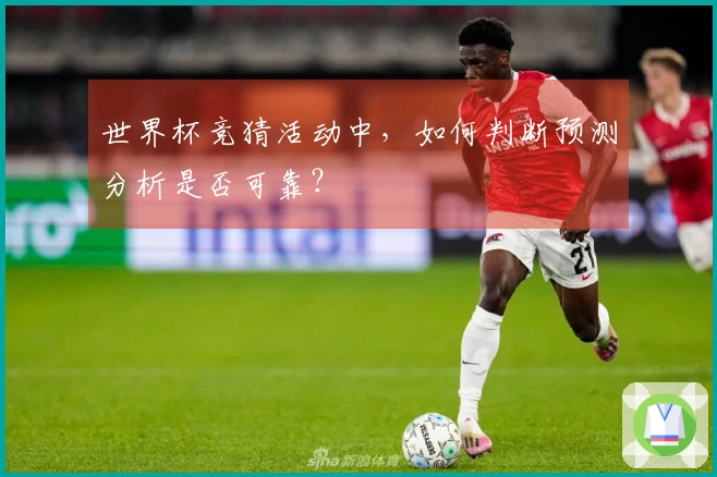 世界杯竞猜活动中，如何判断预测分析是否可靠？