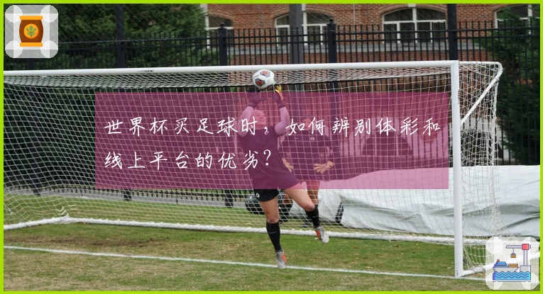世界杯买足球时，如何辨别体彩和线上平台的优劣？