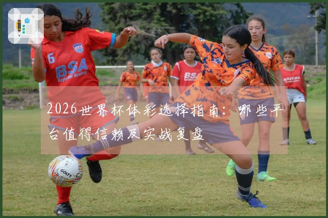 2026世界杯体彩选择指南：哪些平台值得信赖及实战复盘