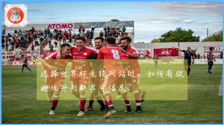 选择世界杯竞猜网站时，如何有效避坑并判断其可信度？