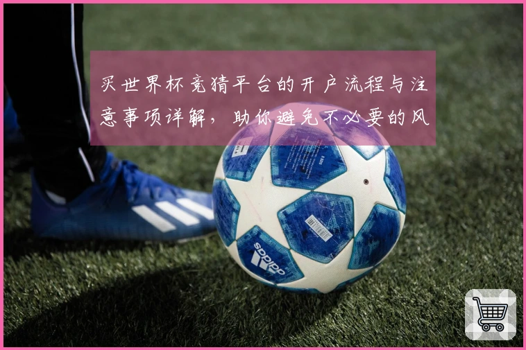 买世界杯竞猜平台的开户流程与注意事项详解，助你避免不必要的风险