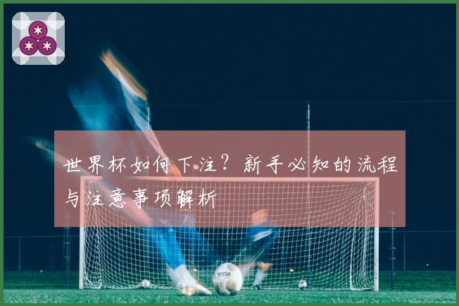 世界杯如何下注？新手必知的流程与注意事项解析