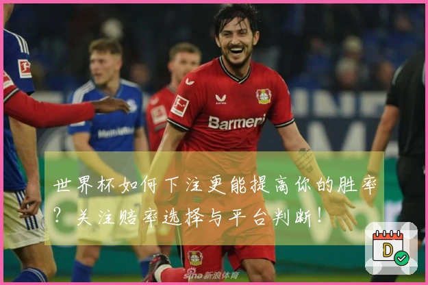 世界杯如何下注更能提高你的胜率？关注赔率选择与平台判断！